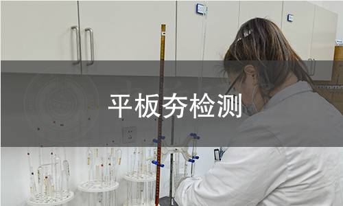 平板夯检测