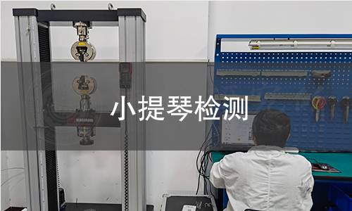 小提琴检测