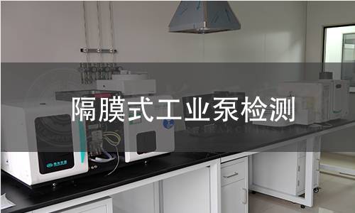 隔膜式工业泵检测