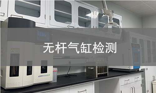 无杆气缸检测,无杆气缸检测机构,直线运动气动元件
