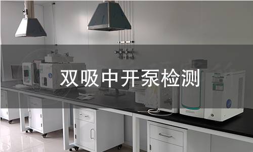 双吸中开泵检测