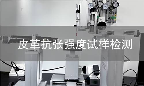 皮革抗张强度试样检测,皮革抗张强度试样检测机构,皮革抗张强度试样检测报告,中析研究所检测中心