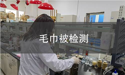 毛巾被检测