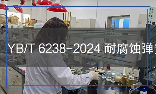 YB/T 6238-2024 耐腐蚀弹簧扁钢