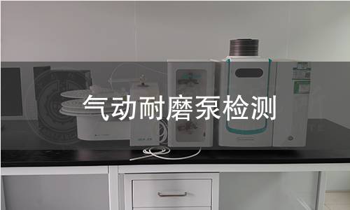 气动耐磨泵检测
