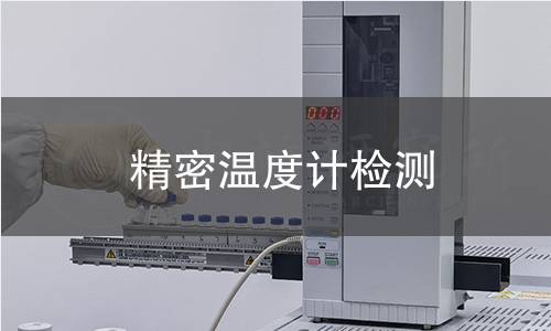 精密温度计检测