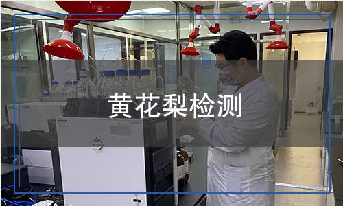 黄花梨检测,黄花梨检测报告