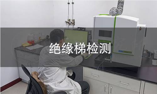 绝缘梯检测