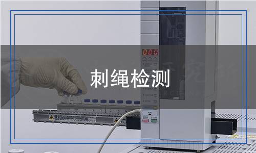 刺绳检测
