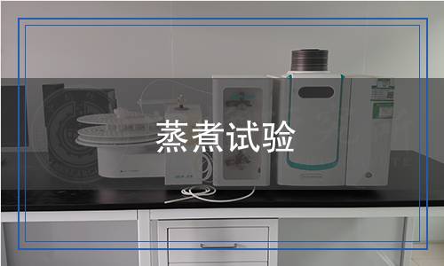 蒸煮试验,蒸煮试验报告