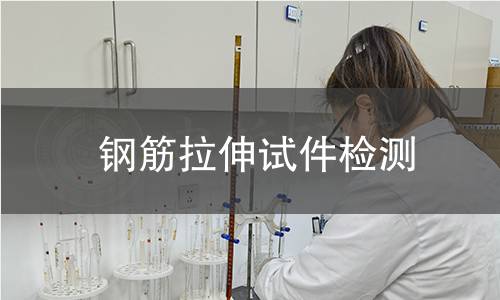 钢筋拉伸试件检测,钢筋拉伸试件检测机构,钢筋拉伸试件检测报告,中析研究所检测中心