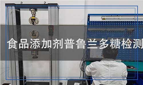 食品添加剂普鲁兰多糖检测,食品添加剂普鲁兰多糖检测报告