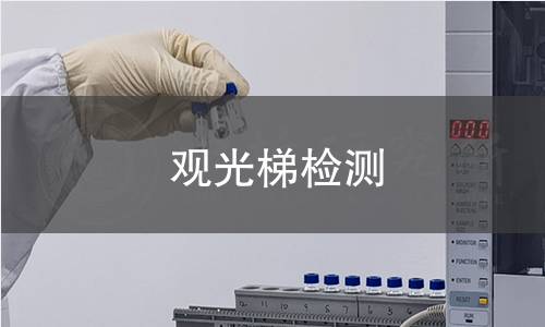 观光梯检测