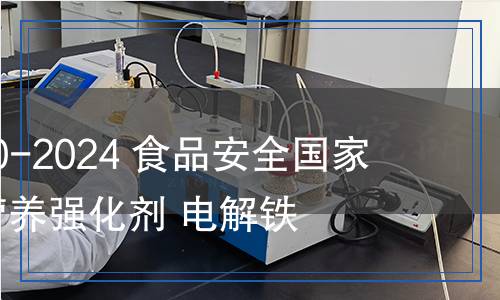 GB 1903.70-2024 食品安全国家标准 食品营养强化剂 电解铁