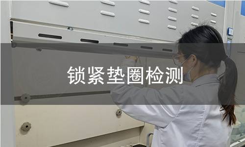 锁紧垫圈检测