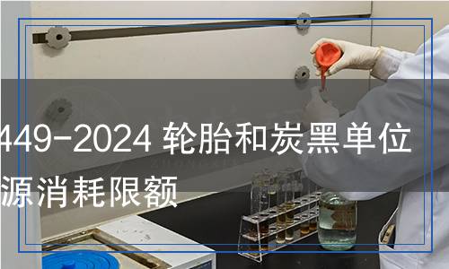 GB 29449-2024 轮胎和炭黑单位产品能源消耗限额
