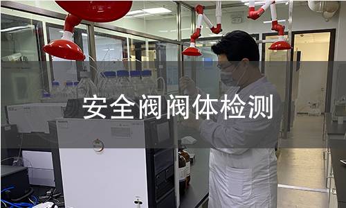 安全阀阀体检测