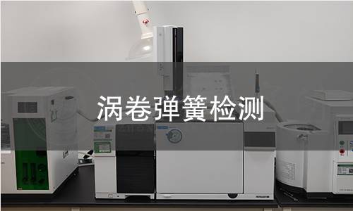 涡卷弹簧检测